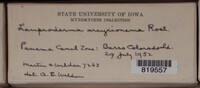 Image Associated With the Occurence